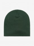 Carhartt WIP Helix Green Beanie