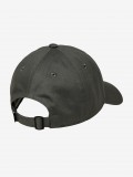 Element Icon Dad Twill Grey Cap