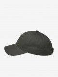 Element Icon Dad Twill Grey Cap
