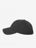 Element Lowcase Dad Grey Cap