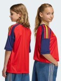Camiseta Adidas FEF Espaa Equipacin Principal Jnior 26