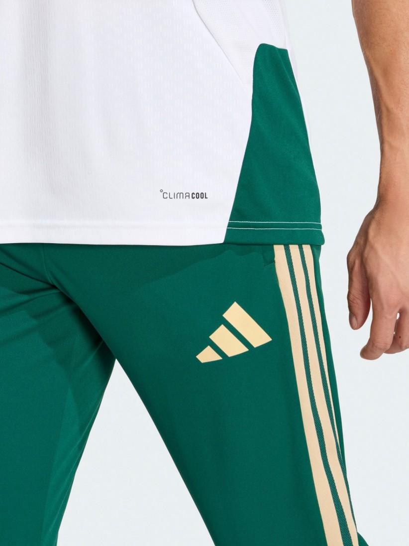 Pantalones de Entrenamiento Adidas FIGC Italia Tiro 26