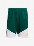 Pantalones Cortos de Entrenamiento Adidas FIGC Italia Tiro 26 Pantalones Cortos de Entrenamiento Adidas FIGC Italia Tiro 26