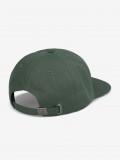 Gorra Carhartt WIP Worm