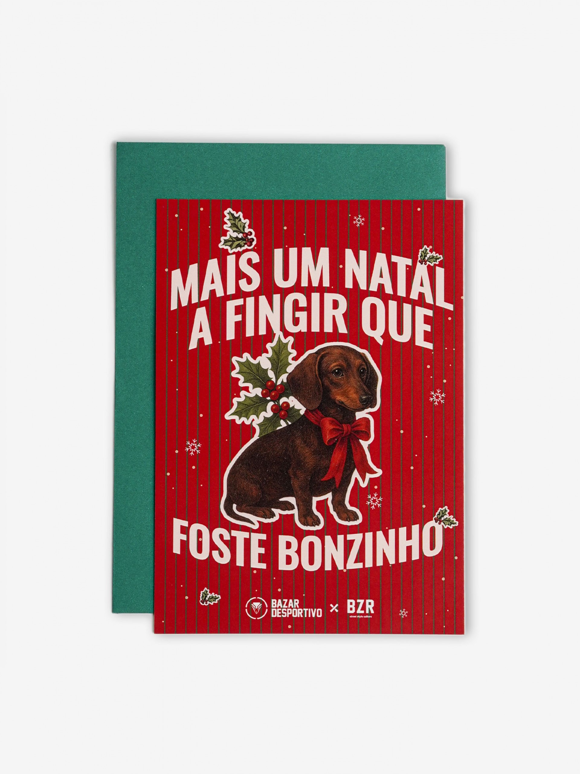 Tarjeta Postal de Navidad Perro