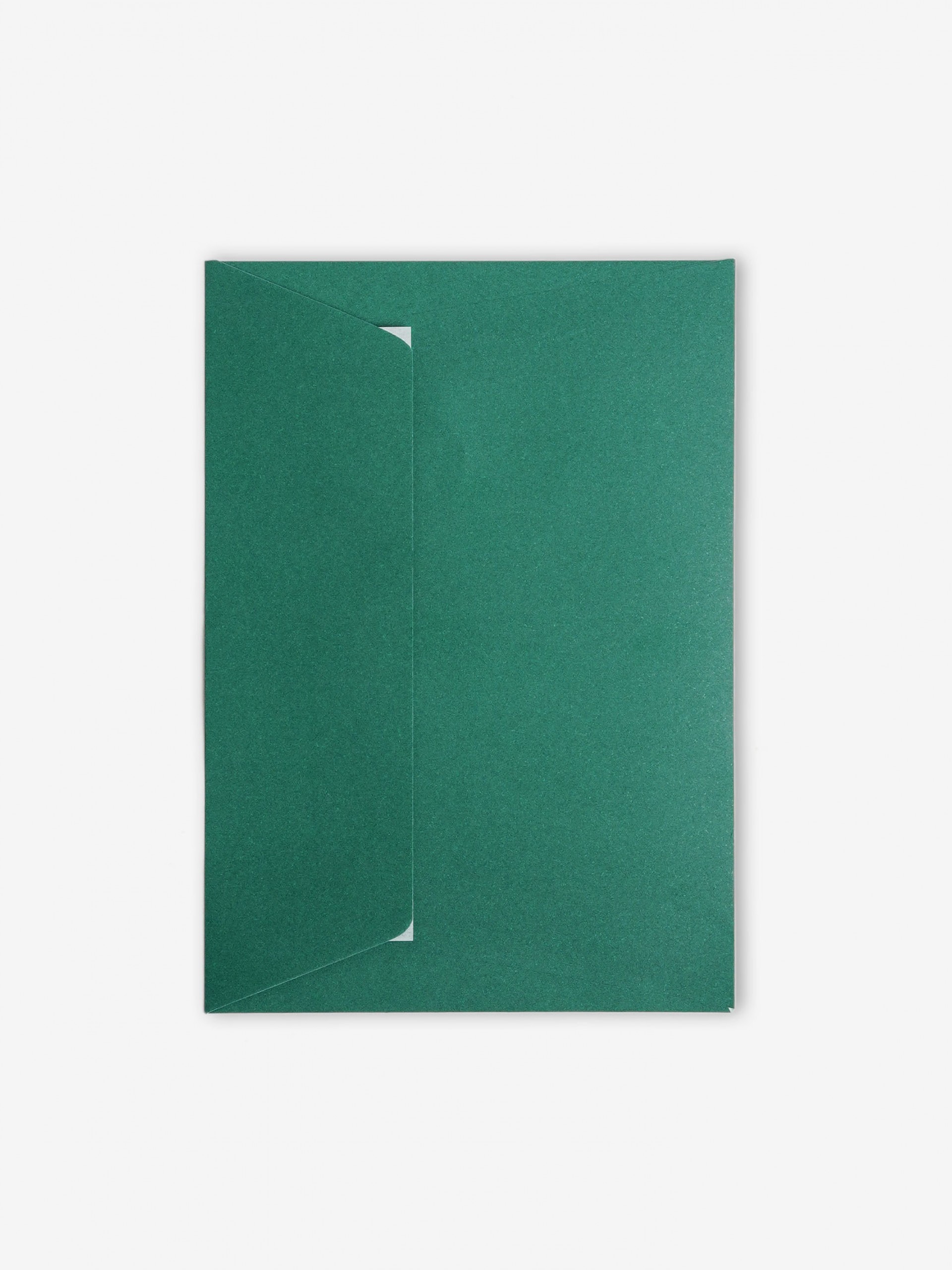 The Card Christmas Card