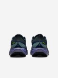 Sapatilhas de Running Nike Air Zoom Pegasus 41 GORE-TEX Verdes e Azuis Para Homem