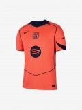 Nike Stadium F. C. Barcelona Third 25/26 Jersey