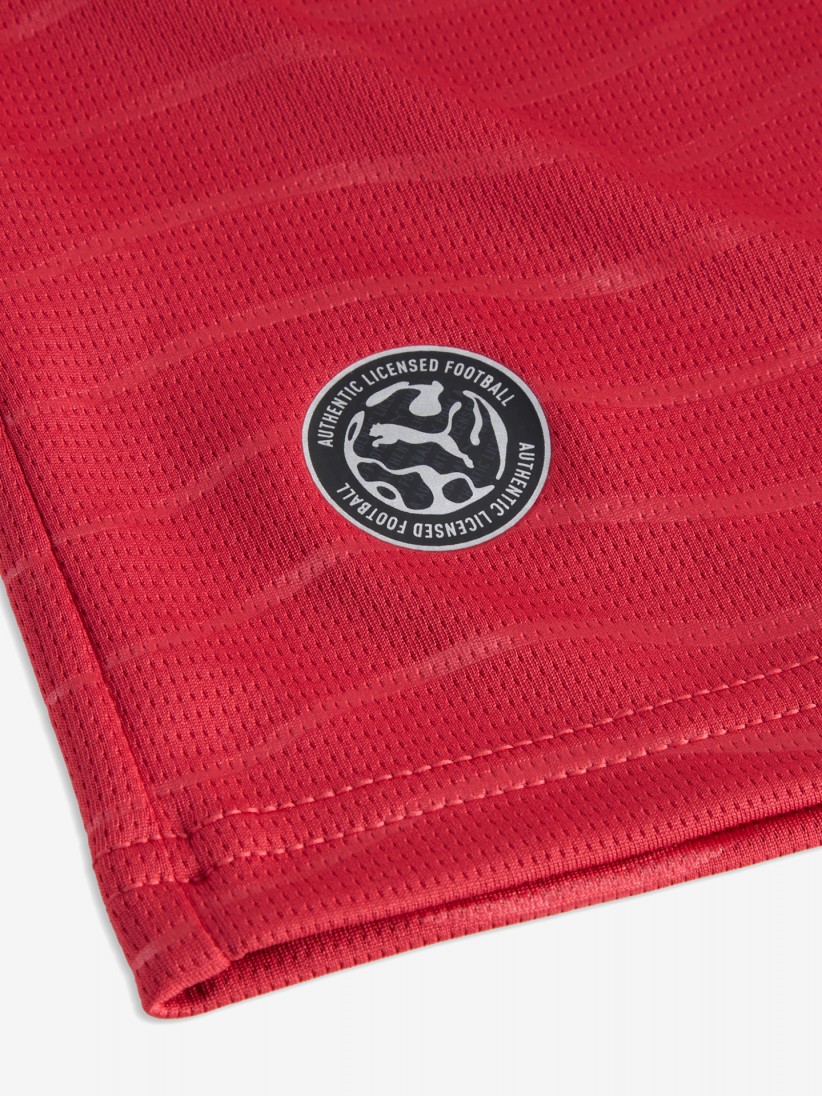 Camisola Puma Portugal Principal Vers�o Jogador 2026 Rafael Le�o