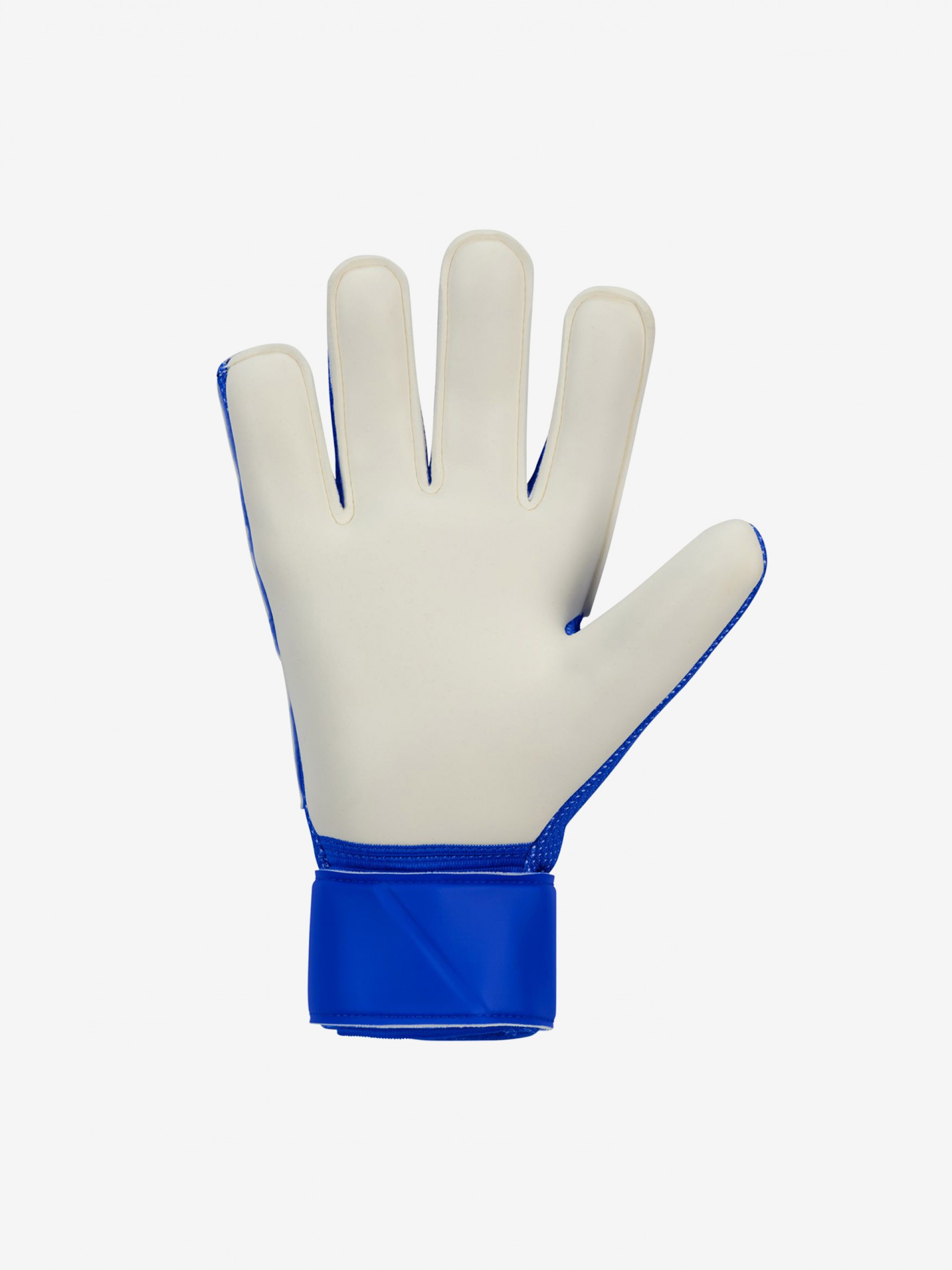 Nike Match Blue Goalkeeper Gloves