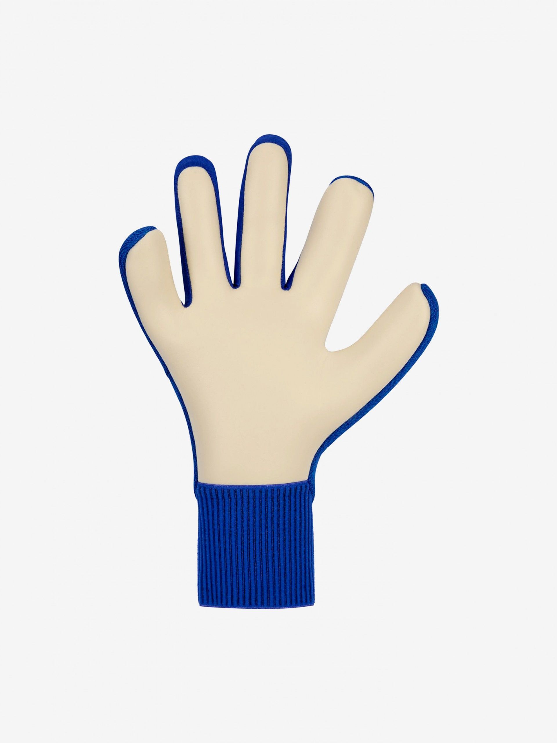 Nike Dynamic Fit Blue Goalkeeper Gloves