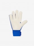 Luvas de Guarda-Redes Nike Match J�nior Azuis
