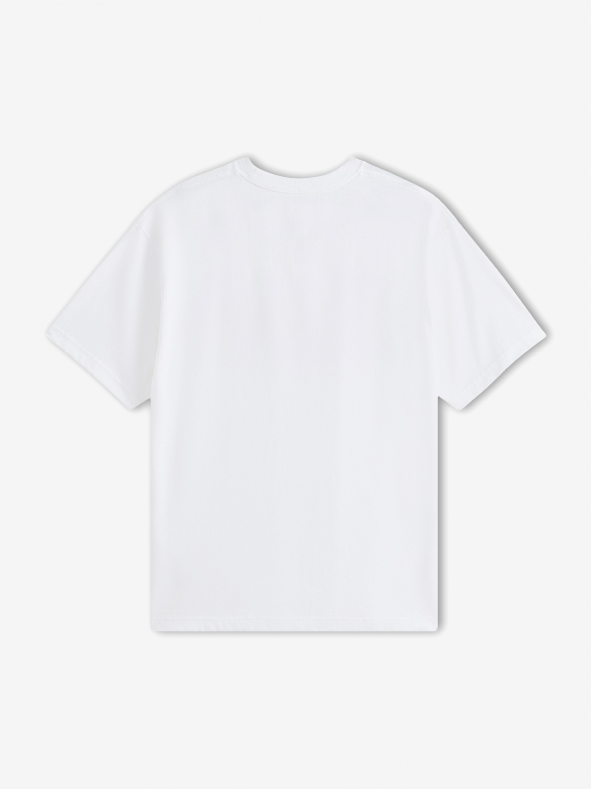 Camiseta Vans Wave Check Blanca