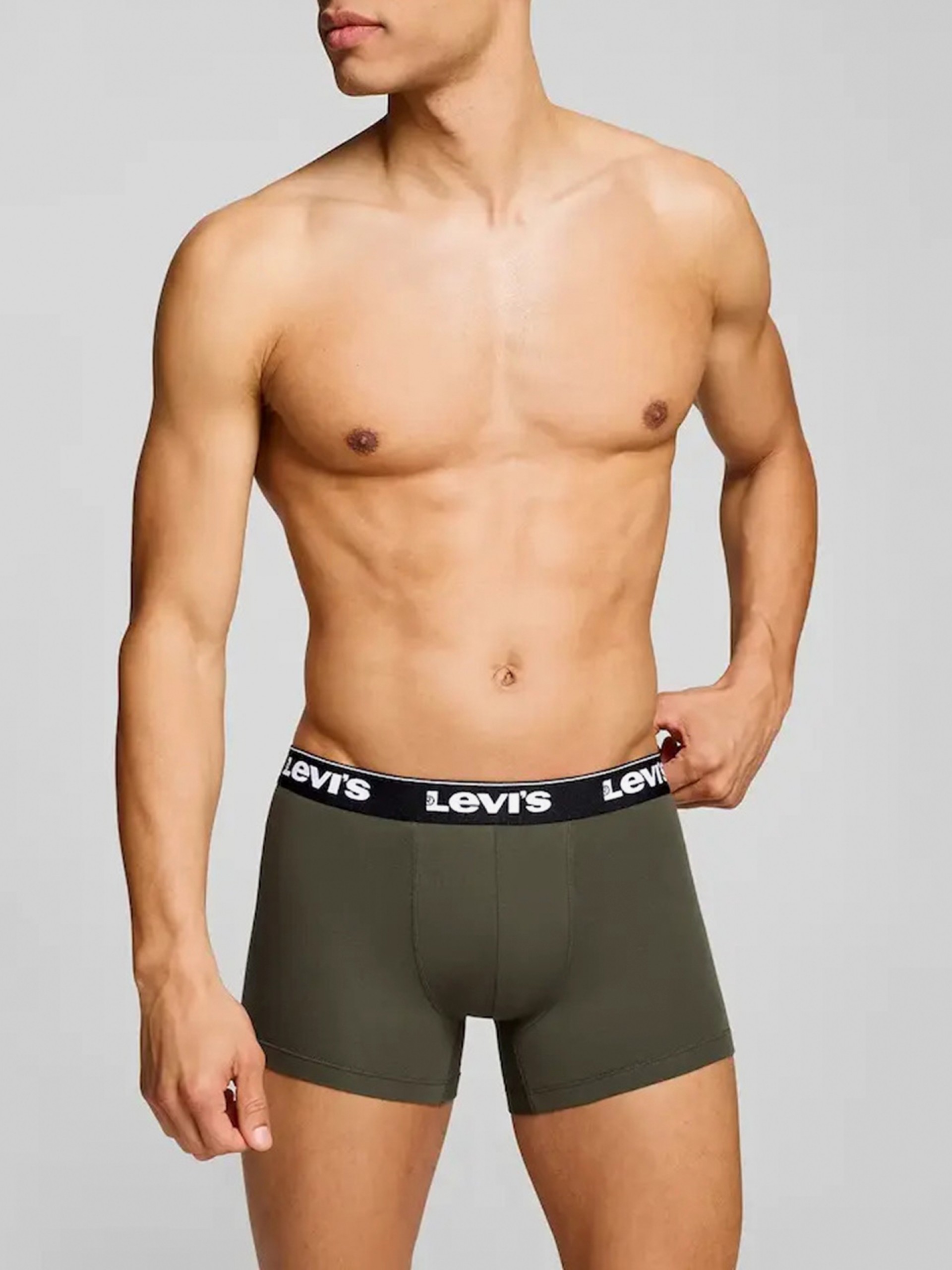 Levis Basic Boxer Brief Green and Black Boxers