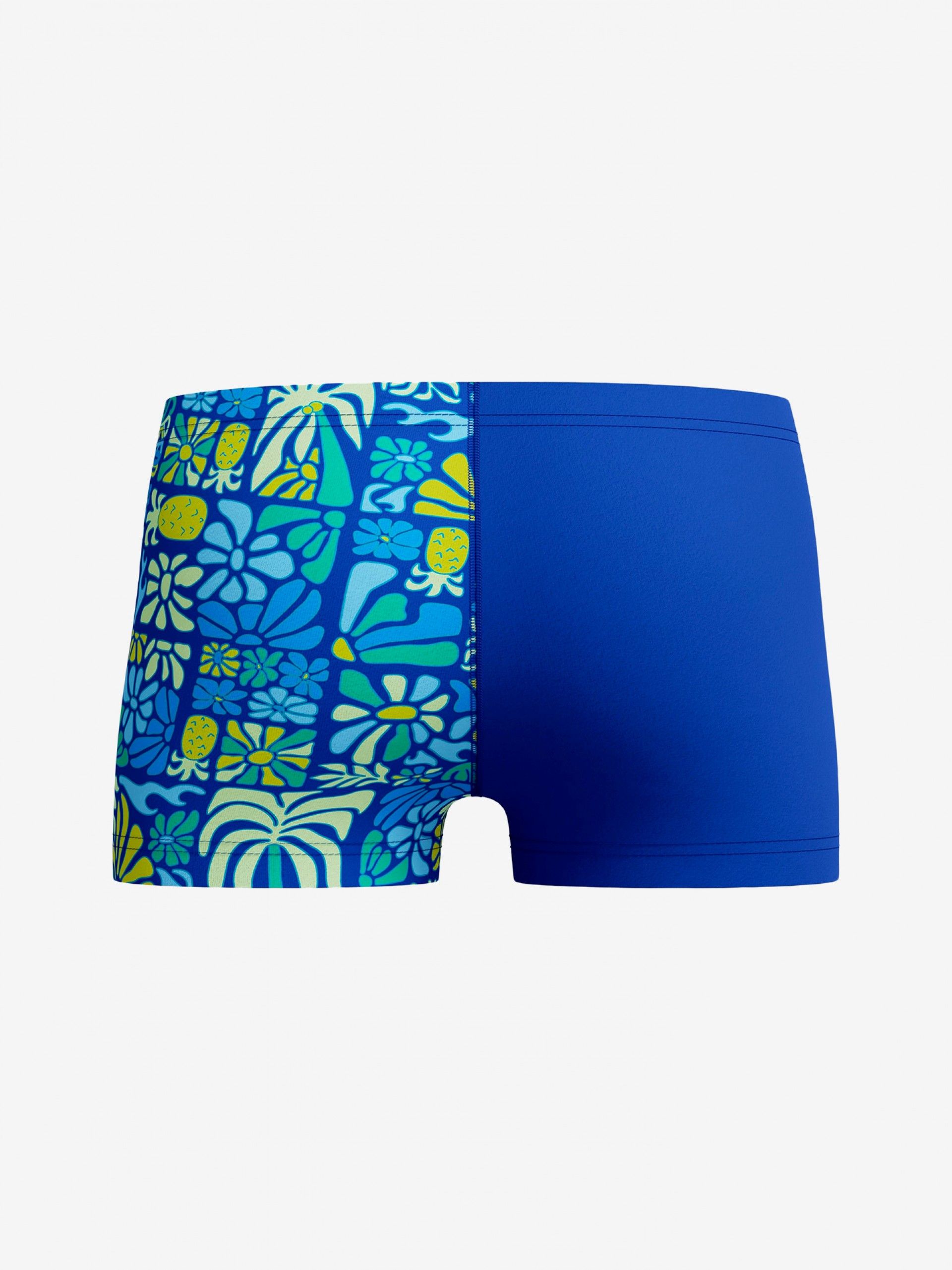 Calções de Natação Speedo Print V-Cut Kids Azuis e Verdes