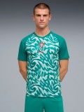 Camisola de Aquecimento Puma Portugal 2026 Verde