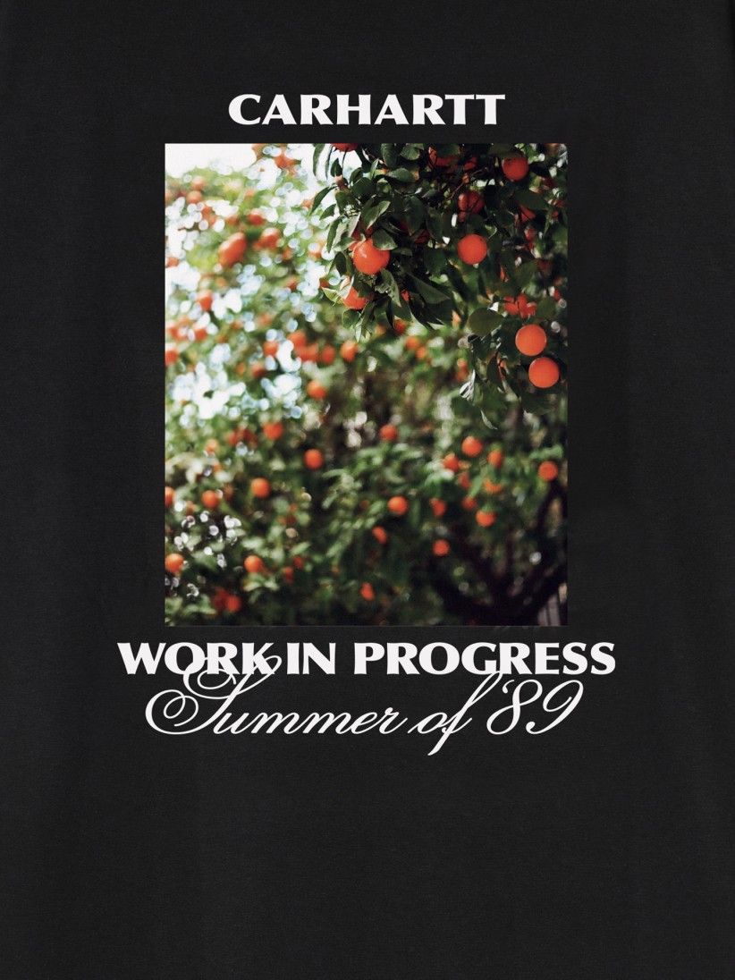 Carhartt WIP Warm Views Black T-shirt