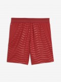 Puma Portugal Red Jr 2026 Shorts Puma Portugal Red Jr 2026 Shorts