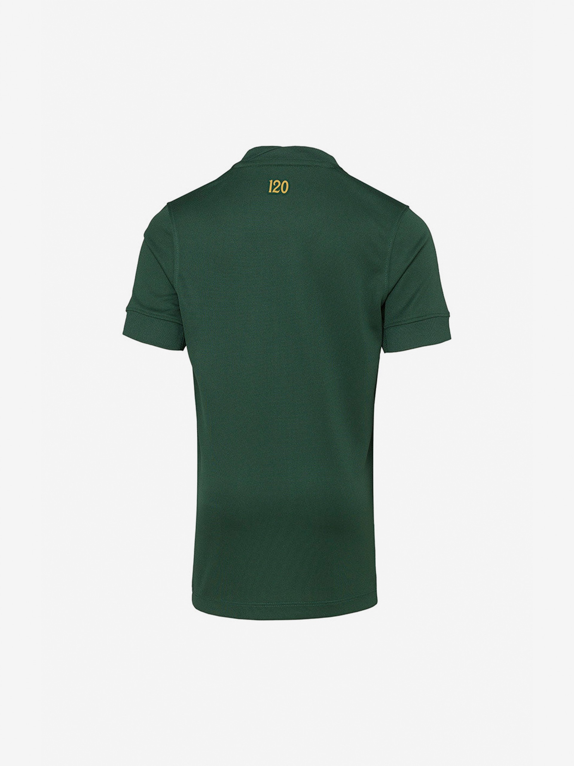 Camisola Nike Sporting C. P. 120 Anos Strike Júnior EP26/27