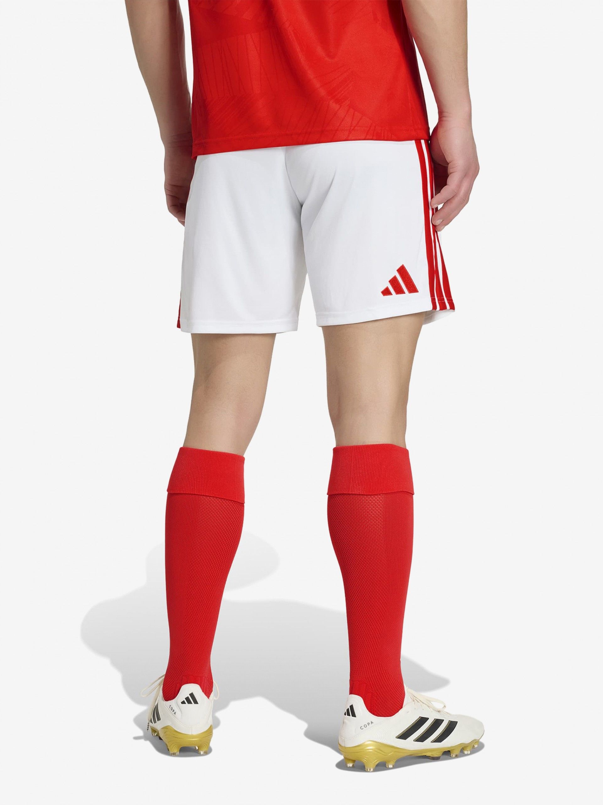 Pantalones Cortos Adidas Equipación Principal S. L. Benfica 26/27