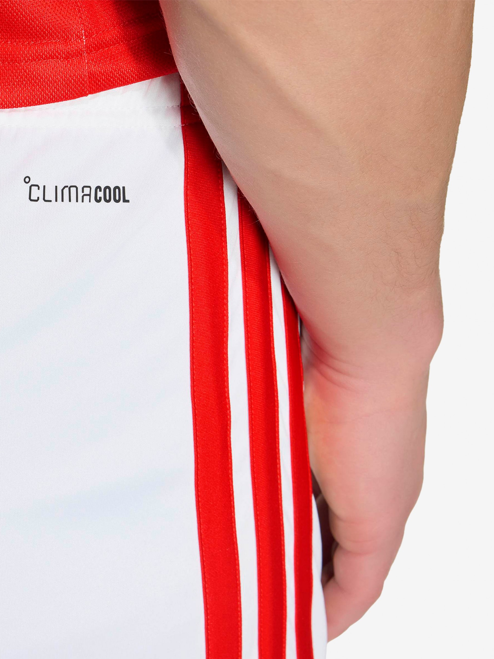 Calções Adidas Equipamento Principal S. L. Benfica EP26/27