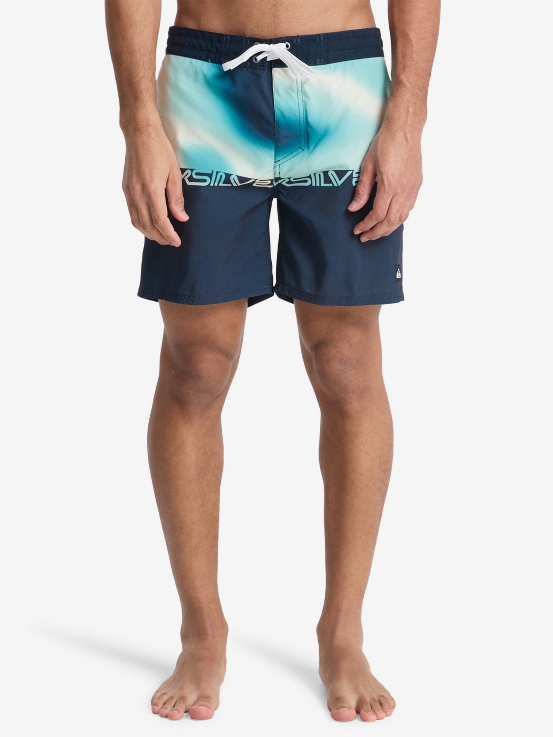 Quiksilver Everyday Printed 16 (41 cm) Blue Swimming Shorts