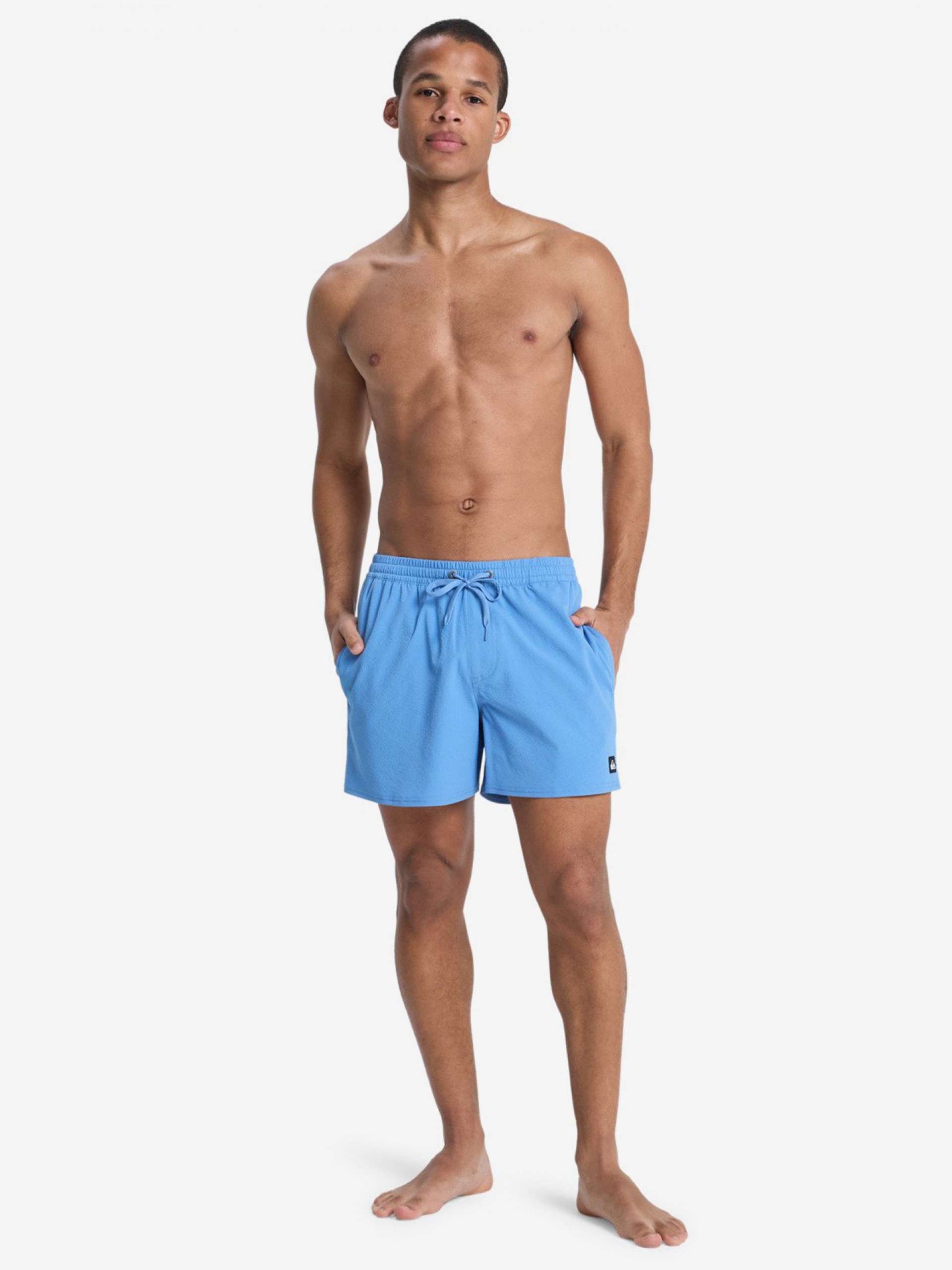 Quiksilver Everyday Flex Volley 15 (38 cm) Blue Swimming Shorts