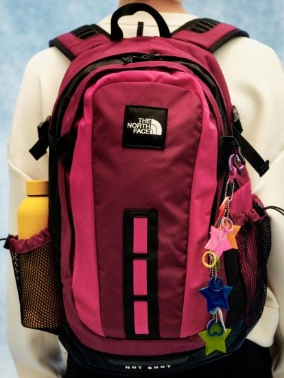 Mochila The North Face Hot Shot SE Burdeos y Rosa