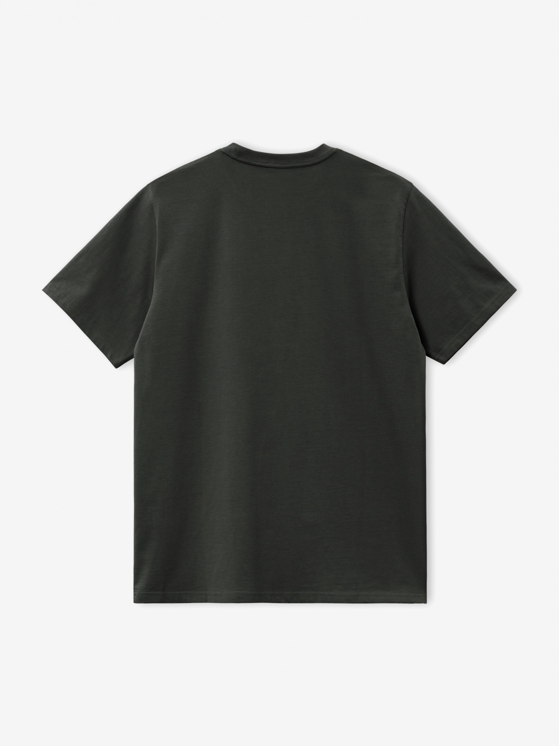 Carhartt WIP American Script Green T-shirt