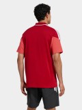 Polo Adidas S. L. Benfica 26/27 Polo Adidas S. L. Benfica 26/27