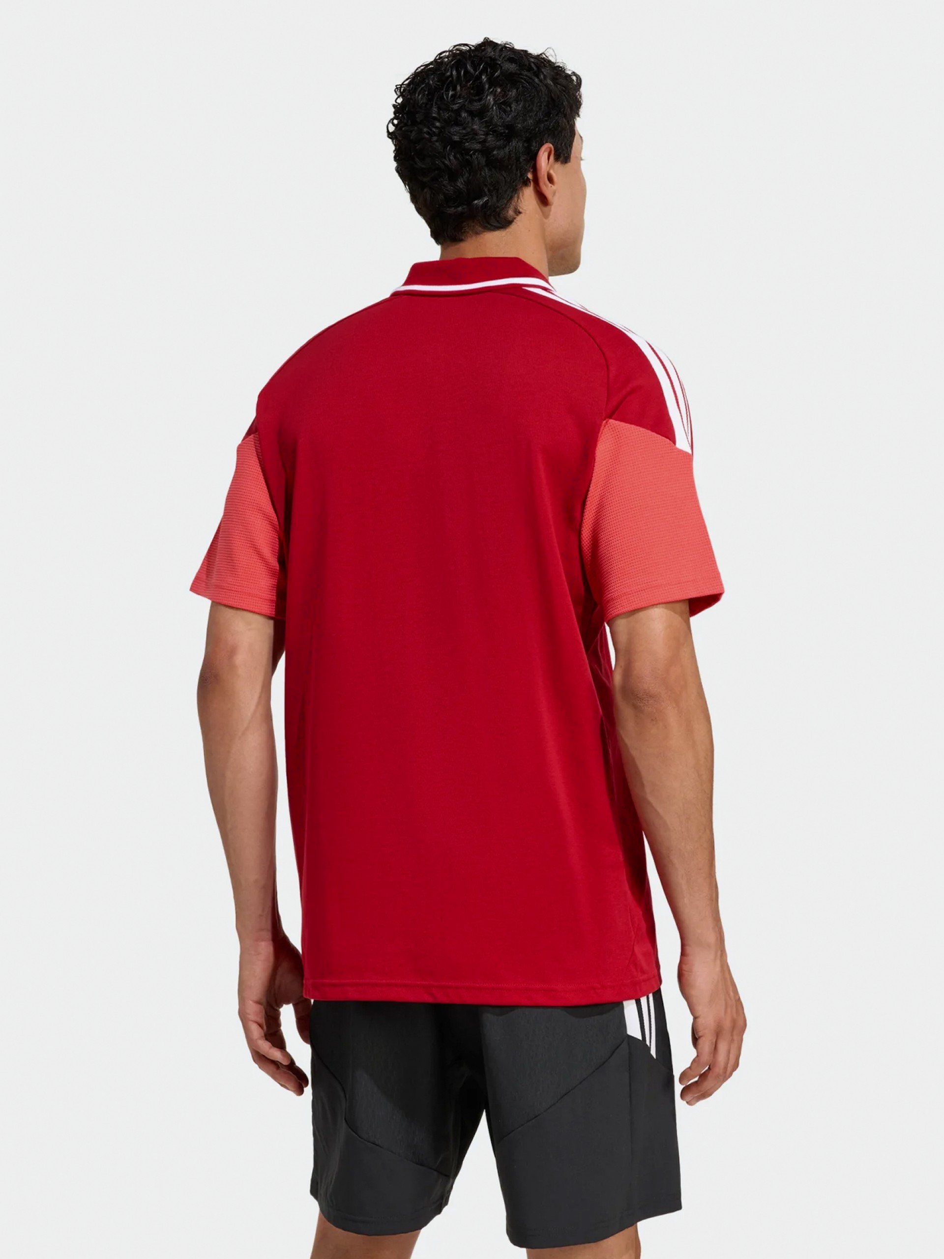 Polo Adidas S. L. Benfica EP26/27