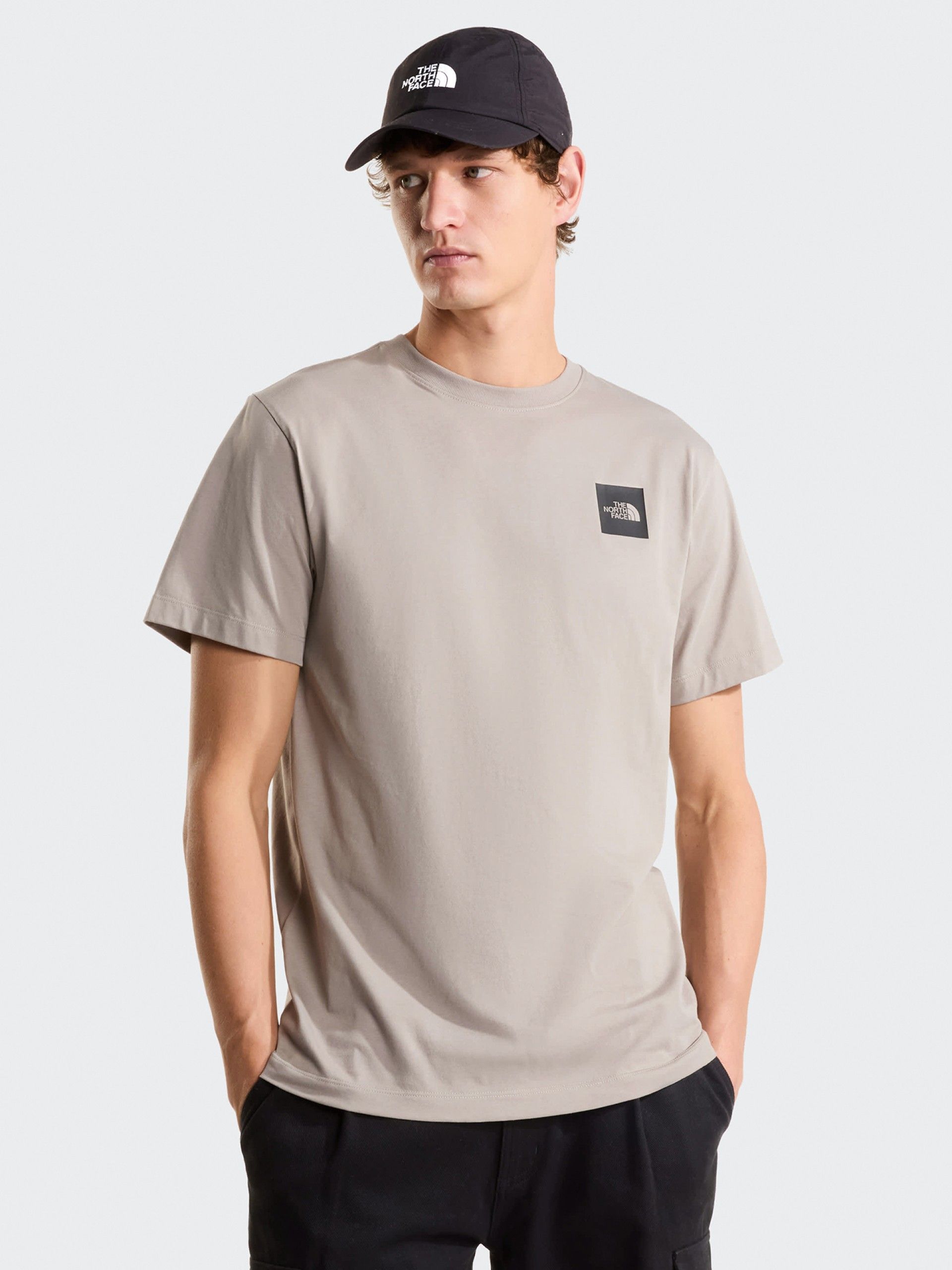 Camiseta The North Face Evolution Box Half Dome Gris