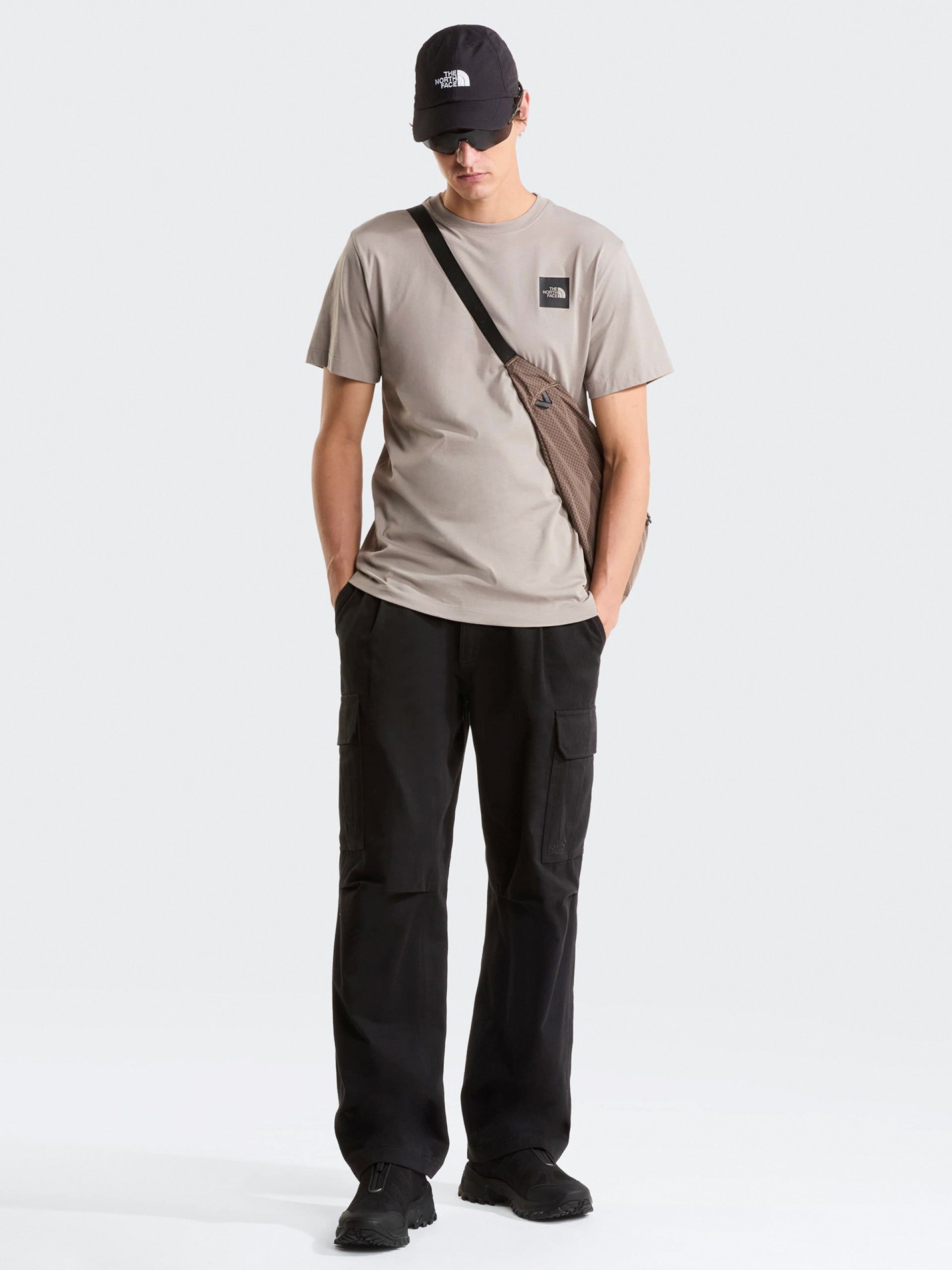 Camiseta The North Face Evolution Box Half Dome Gris