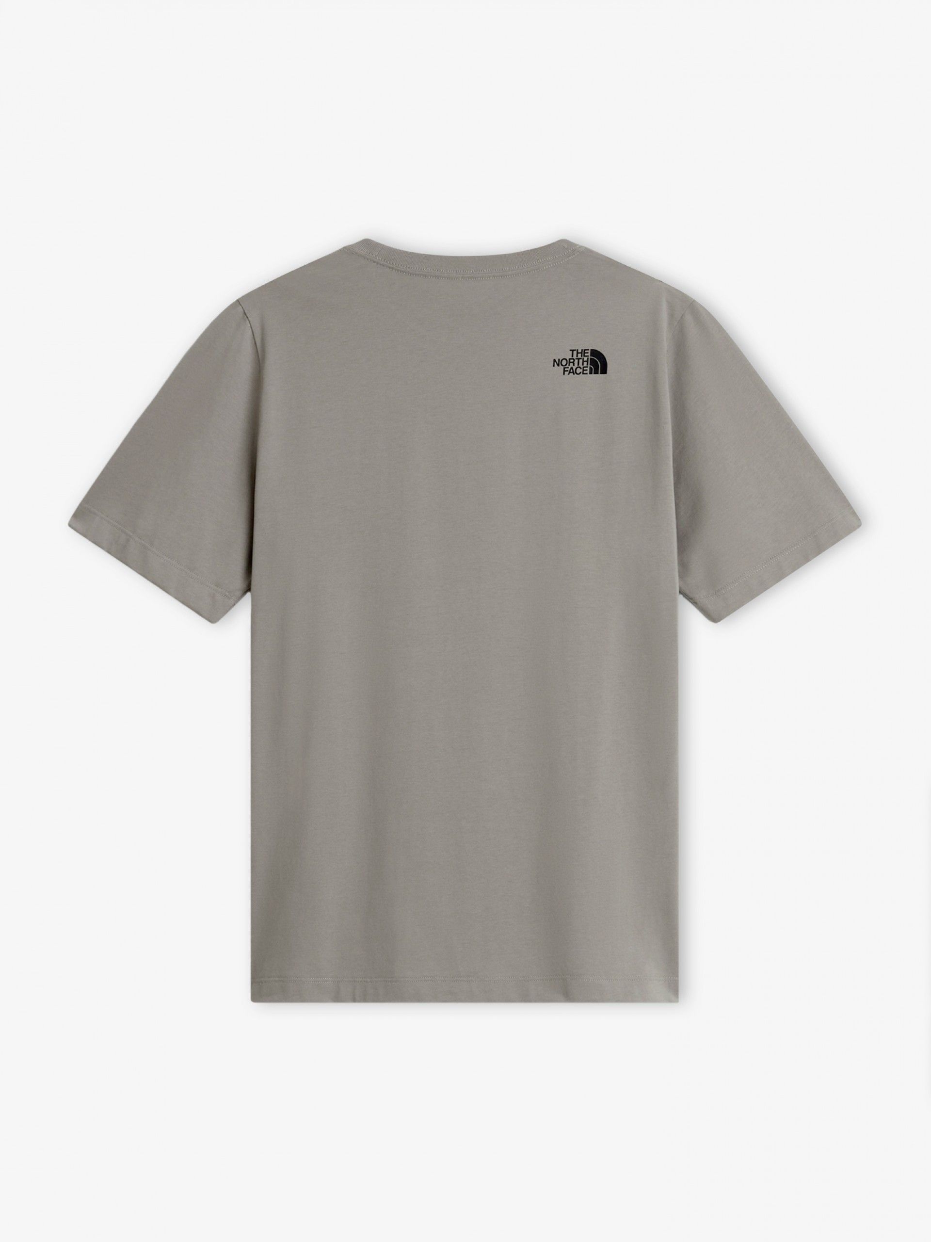 Camiseta The North Face Evolution Box Half Dome Gris