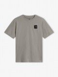 T-shirt The North Face Evolution Box Half Dome Cinzenta
