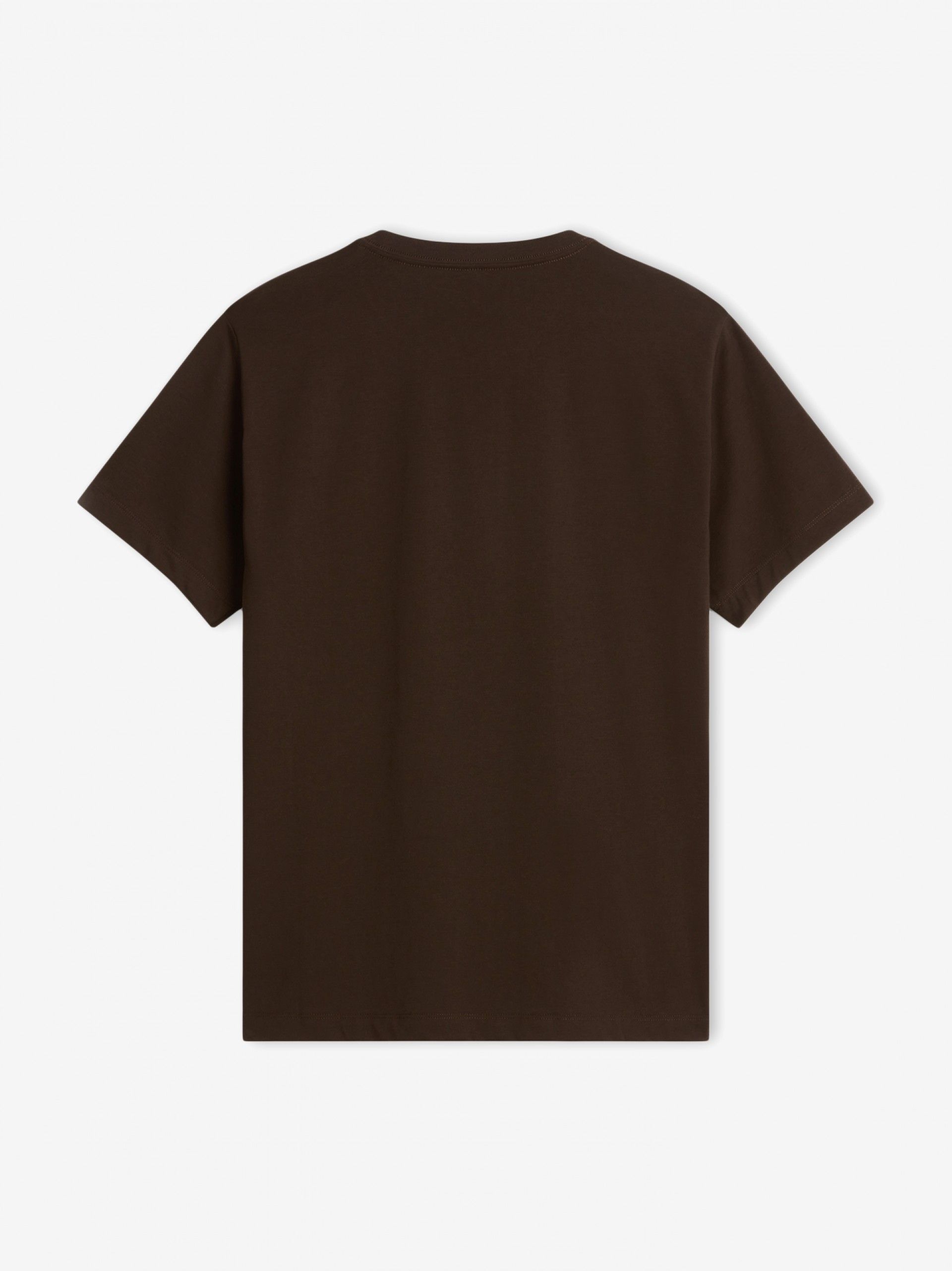 Camiseta The North Face Evolution Simple Dome Marrón