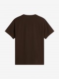 T-shirt The North Face Evolution Simple Dome Castanha