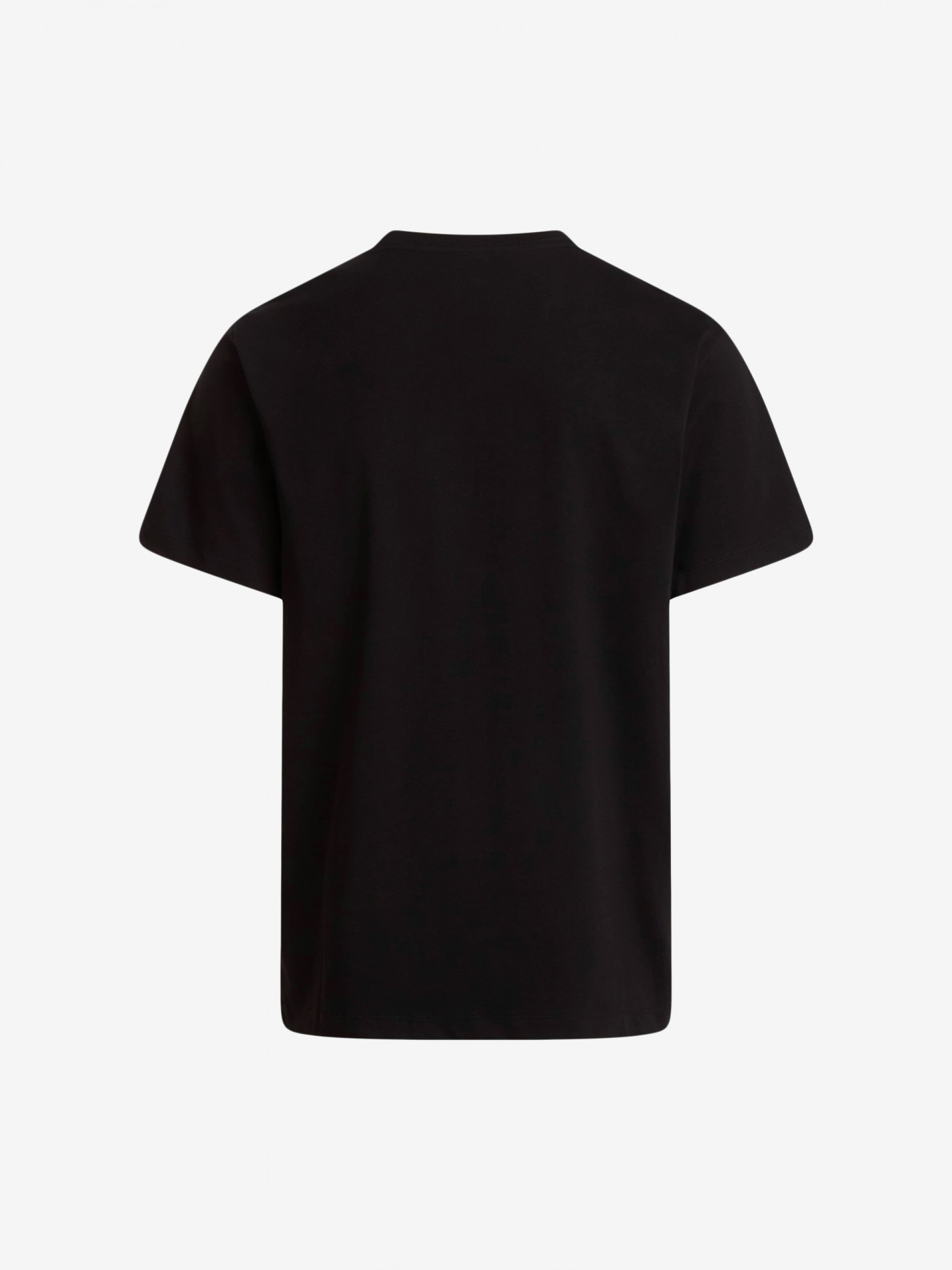 Camiseta The North Face Evolution Simple Dome Negra