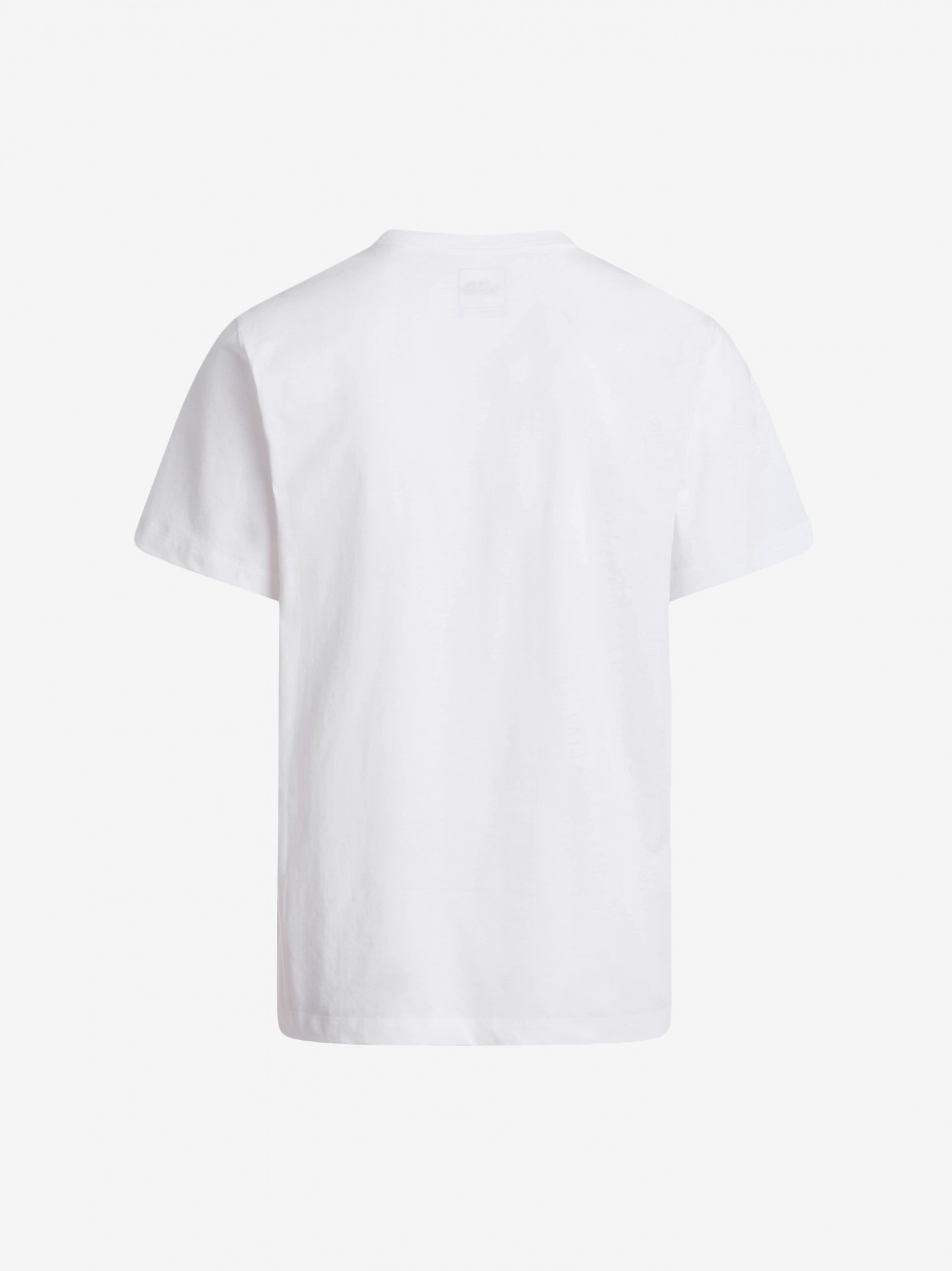 Camiseta The North Face Evolution Simple Dome Blanca