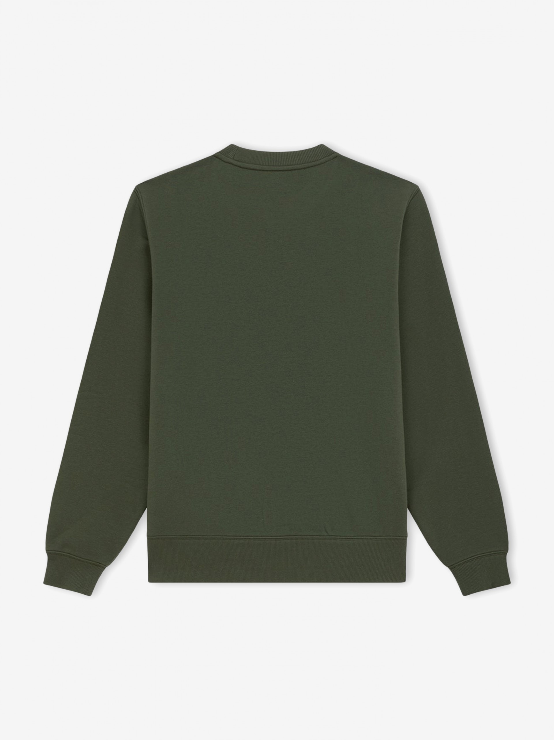 Dickies Oakport Crew Neck Green Sweater