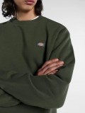 Sudadera Dickies Oakport Crew Neck Verde