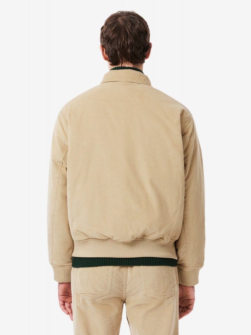 Chaqueta Lacoste Bomber Acolchada de Pana Beige