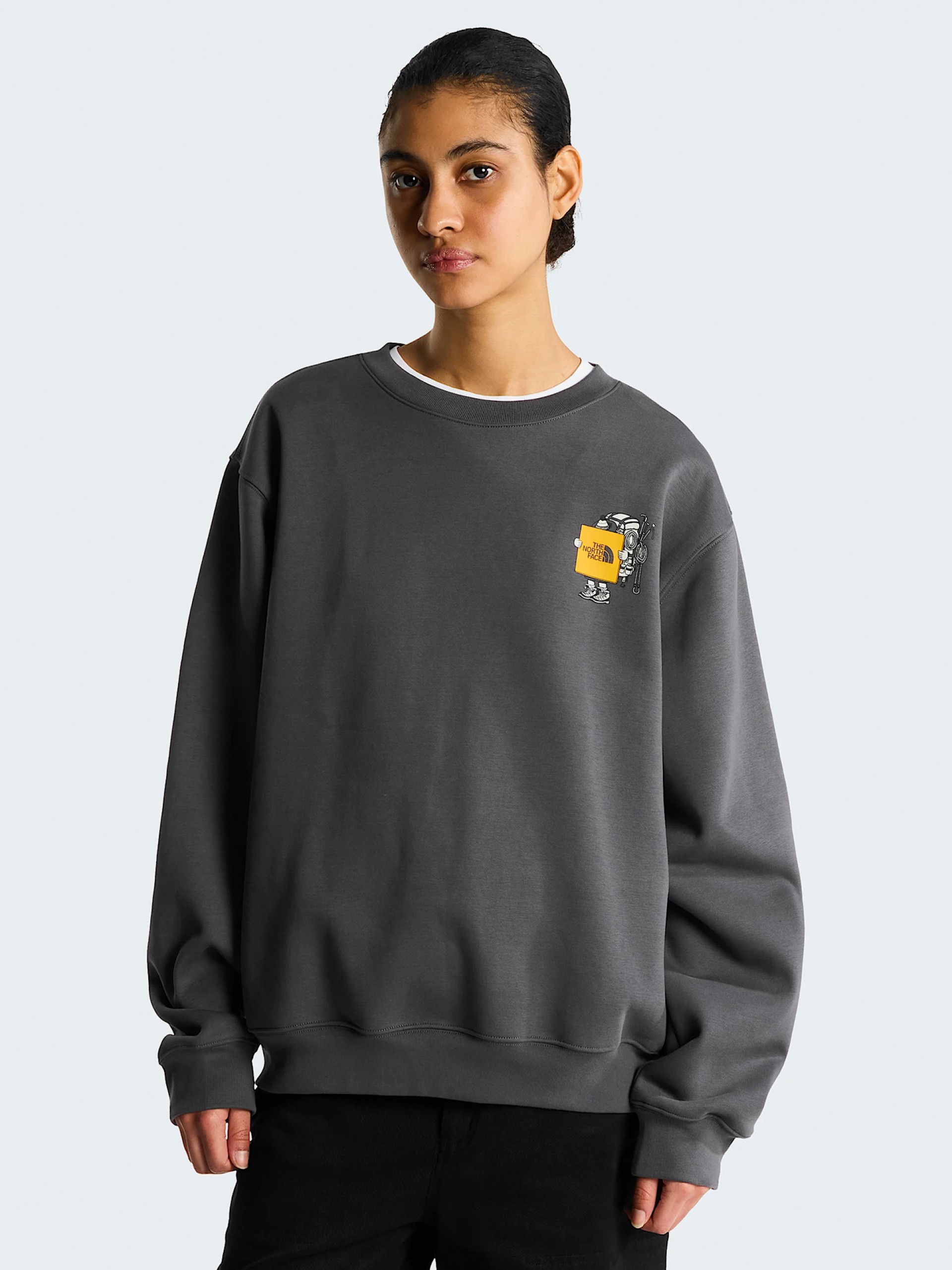 Sudadera The North Face Gear Up Get Out Gris