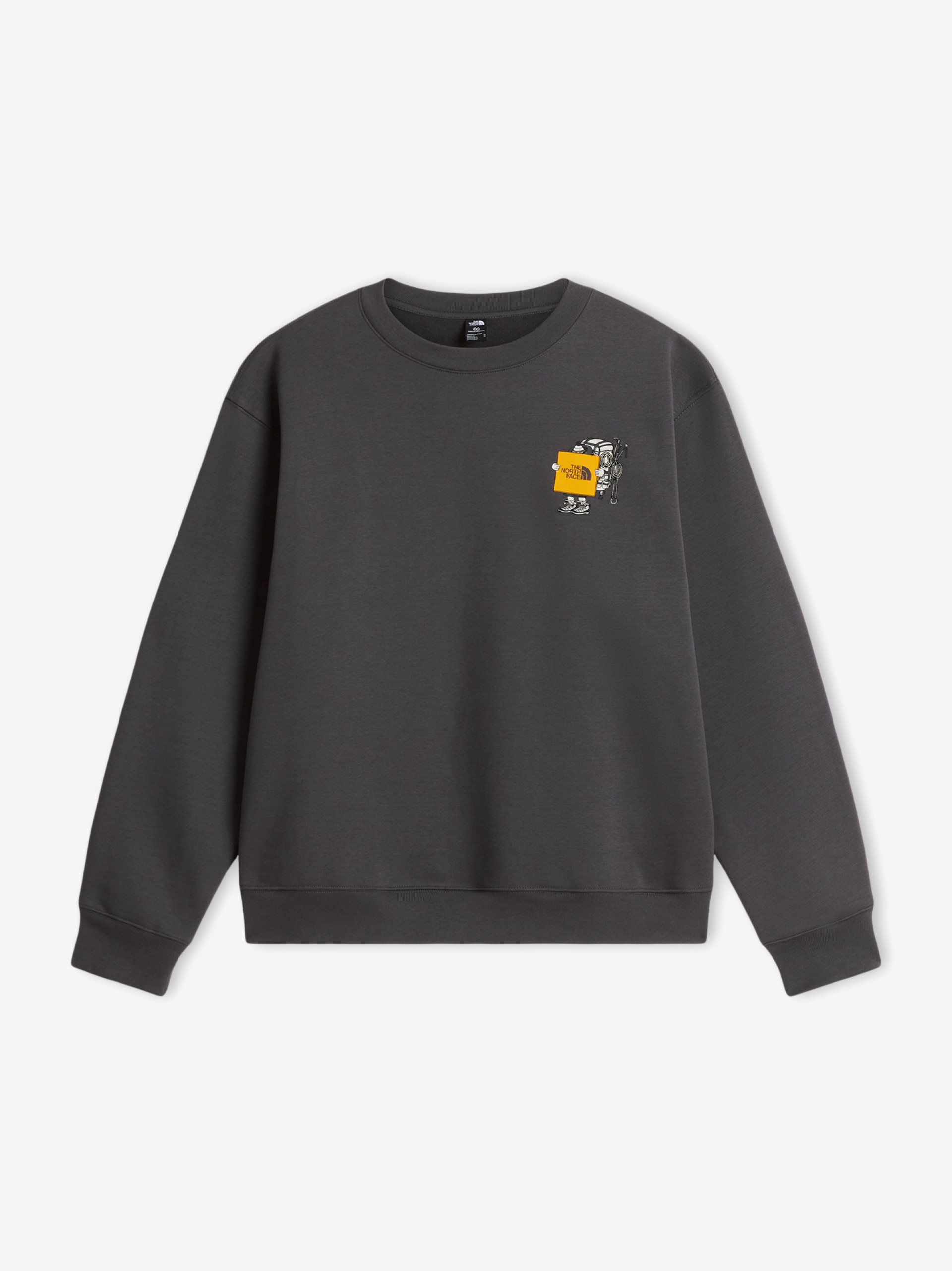 Sudadera The North Face Gear Up Get Out Gris