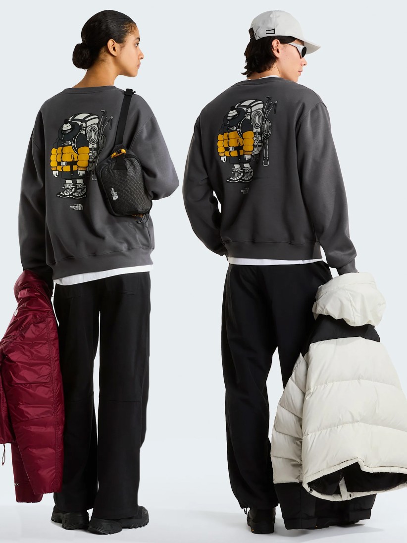 Sudadera The North Face Gear Up Get Out Gris