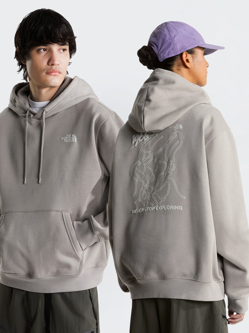 Camisola com Capuz The North Face NSE Slopes Cinzenta