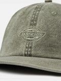 Dickies Duck Canvas Dad Green Cap