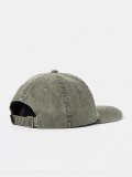 Dickies Duck Canvas Dad Green Cap