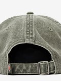 Dickies Duck Canvas Dad Green Cap