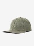 Dickies Duck Canvas Dad Green Cap